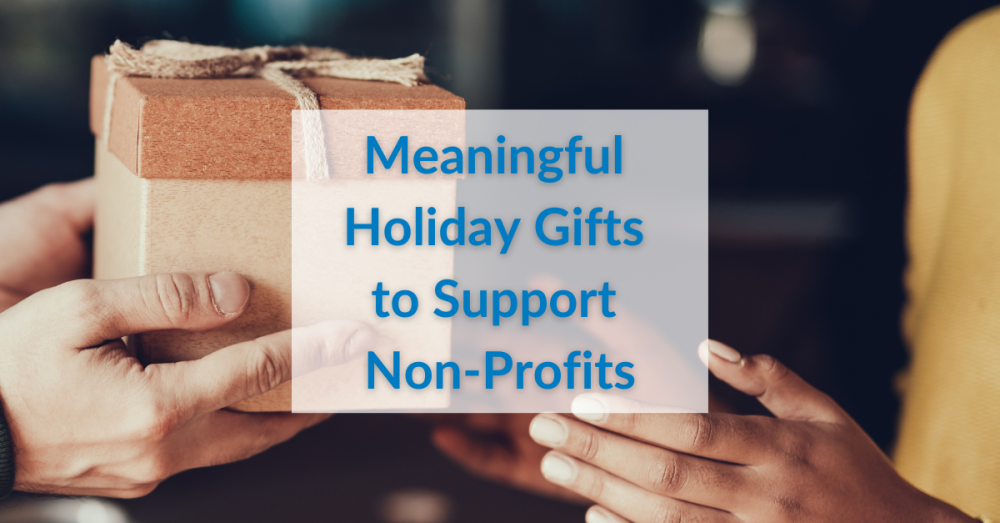 Meaningful Holiday Gifts to Support Non-Profits